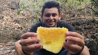 Las mejores😲colmenas🐝🐝se encuentran en las montañas de el salvador😱😱😱!!!pesca en el rio lempa