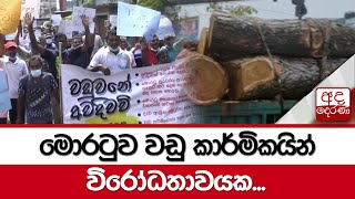 මොරටුව වඩු කාර්මිකයින් විරෝධතාවයක...