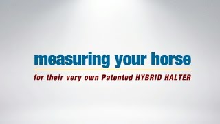 How to Measure Your Horse for the Patented HYBRID Halter