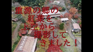 重源の郷紅葉上空より