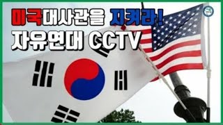 한미동맹강화 1인시위 cctv #자유연대 #이희범 #한미동맹