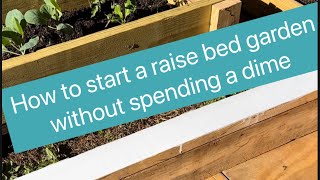 How Start a Back yard raise bed garden without spending a dime
