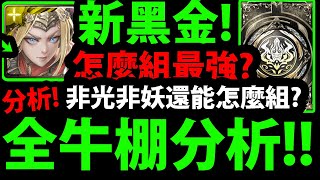 【神魔之塔】全新黑金涅索伊🔥『全牛棚分析！』意外超大👉最完整組隊介紹！【環光聖戰・涅索伊】【阿紅實況】