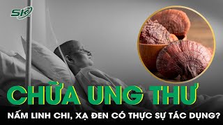 Thực hư thông tin nấm linh chi, xạ đen có tác dụng chữa ung thư | SKĐS