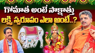 గోమాత అంటే సాక్షాత్తు లక్ష్మి స్వరూపం🙏| Interesting Facts About Gomata | Lakshmi Devi | BTVBhakthi