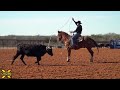 JR Dees Team Roping Practice Session | X Factor Team Roping