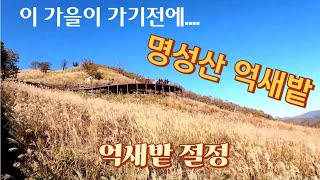 가을가을한 날/ 명성산하이킹/ 산정호수 뷰/ 억새밭이 너무 멋졌어요(with DJI NEO)