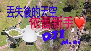 [新手飛行]DJI Mavic Mini飛丟後買新機測試