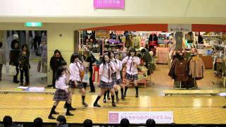 山口県ご当地アイドル 山口活性学園 アイドル部「プリン」2011/12/24