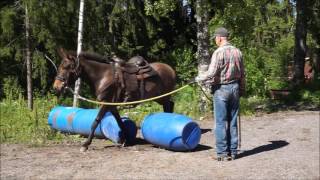 Kari Vepsä ja Muuli 28.6.2017 osa 9, tehtäväradan esteet