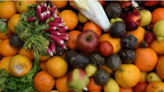 France: Paris initiatives lay waste to binning food