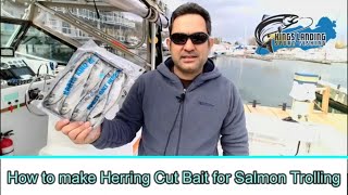 How to make Herring Cut Bait Strips for Salmon Trolling #DIY #GreatLakes #Chinook #Salmon #Herring