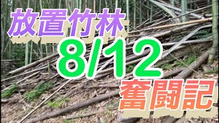 アクシデント発生❗️放置竹林奮闘記【サラリーマンが竹を切る日々】2023/08/12