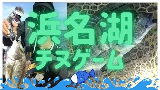 浜名湖チヌゲーム♬【チヌトップ】【チニング】【浜名湖ポッパー】【浜名湖釣り】