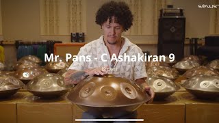 C Ashakiran 9 Stainless Steel Handpan Mr. Pans (Brown)