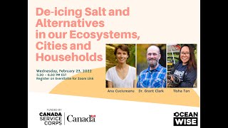 Ocean Bridge Webinar: De-icing Salt and Alternatives in our Ecosystems, Cities, and Households