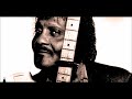 Albert Collins and The Icebreakers Live at Chestnut Cabaret, Philadelphia - 1986 (audio only)