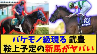 【競馬】「リアンベーレ、バケモノ級現る 武豊鞍上予定の新馬がヤバい」に対する反応【反応集】