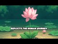 the mystical lotus flower mystical lotus flower fascinating facts danielle s knowledge base