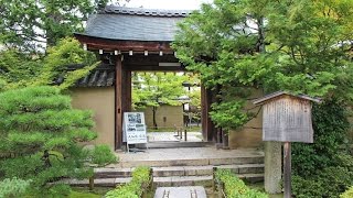 大仙院 京都 / Daisen-in Temple Kyoto / 다이센 원 교토