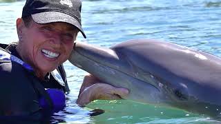 Xcaret Park 2023 Teaching Horses Positive Reinforcement