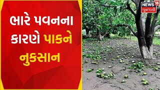 Rajkot News | કમૌસમી વરસાદની આગાહી ખેડૂતો માટે પરેશાની | Monsoon | Gujarat News