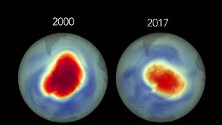 The Ozone Hole: Closing the Gap