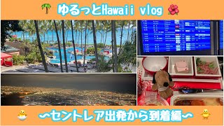 【初心者さん必見】ゆるっと3月ハワイ旅①セントレア出発から到着まで