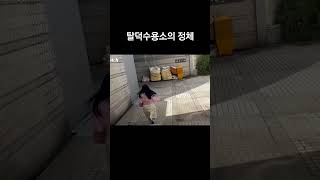 탈덕수용소의 정체