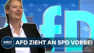 RECHTSRUCK IN BRANDENBURG: Diese Umfrage ist ein Paukenschlag! AfD erstmals stärkste Partei