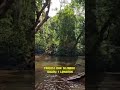 Pengalaman Sekali Seumur Hidup di Taman Negara!