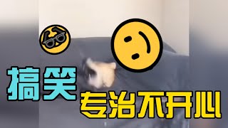 专治不开心 #有趣 #搞笑 #搞笑短視頻合集 #搞笑影片 #funny