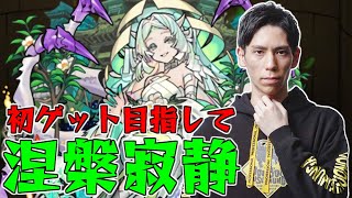 【モンストLIVE】涅槃寂静 初ゲット目指して禁忌裏28周回 【ごーず】