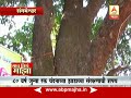 gaon tithe majha 7 30 am sangmeshwar oath of 80 yers tree 22 03 2017