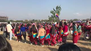 सुनुवार साकेला उधौली नाच कस्तो हुन्छ हेरौ ! Sakela Udhauli festival of kirat in Tundikhel 2078