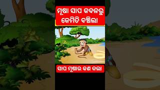 ସାପୁଆ କେଳା ସାପକୁ ନେଇ କଣ କଲା#kahani#cartoon#odiagapa#facts#newstory#odiastory#moralstories#story#gapa