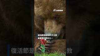 德國動物園特製彩蛋 歡慶復活節一同尋寶｜#公視新聞網 #Shorts