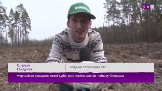 Житомирські журналісти висадили майже гектар лісу в Олевському районі