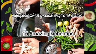 😍  അടുക്കളയിൽ ഉപകരിക്കുന്ന 16 ടിപ്സ് Amazing kichen Tips and tricks #hacks #kichen #lifehacks