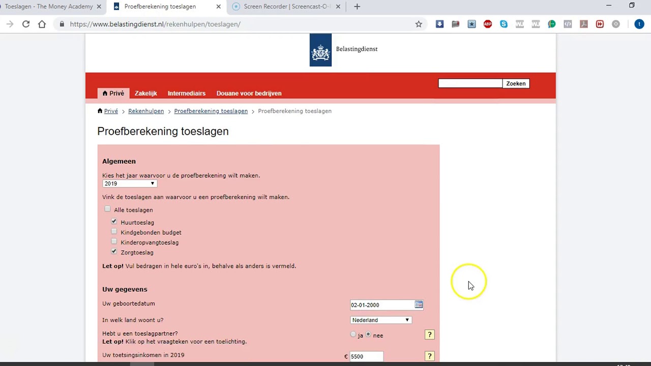Proefberekeningen Toeslagen - YouTube