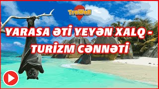 Turizm cənnəti, ən qədim palmalar və…  #travel #palm #sea