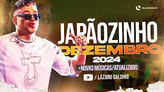 JAPÃOZINHO REPERTÓRIO NOVO DEZEMBRO 2024 - AQUECIMENTO DO BRABO 2.0