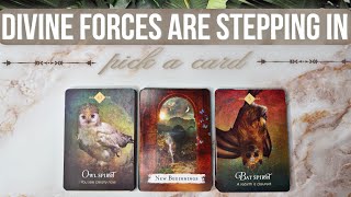 ANGELS have been sent to PROTECT YOU! These are their signs + message to you ✉️🙏😇🪽✨🌿Pick a card🔮