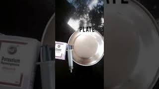 Simple science experiment with potassium permanganate [Rifu Rishu's vlog]
