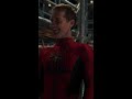 spider man no way home the more fun stuff version