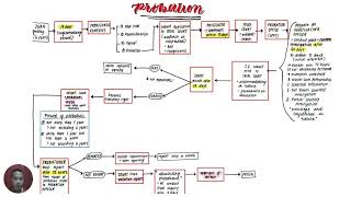 THE PROCESS OF PROBATION SYSTEM