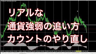 【2021年12月6日～】今週の振り返りと来週のトレードシナリオ（通貨強弱とエリオット波動）