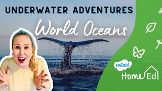 Underwater Adventures - World Oceans Day