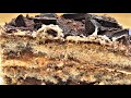 Best Tiramisu Ever I Deliciously Decadent Tiramisu Recipe I Gastro Guru