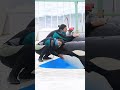 シャチとトレーナーさん「至福の時間」 shorts 鴨川シーワールド シャチ kamogawaseaworld orca killerwhale